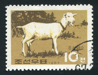 Naklejka premium postmark