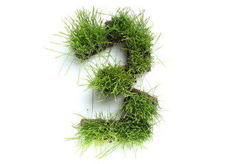 Numbers made of grass - 3
