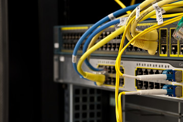 yellow network wires in a switch - obrazy, fototapety, plakaty
