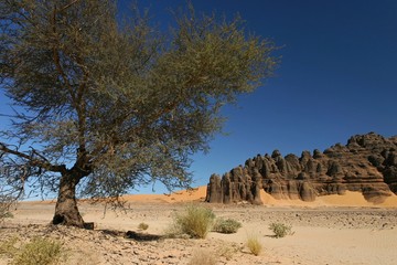 Tassili du Hoggar