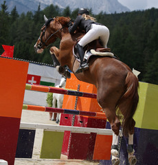 Beautiful lady jumping with her stud horse during a show jumping