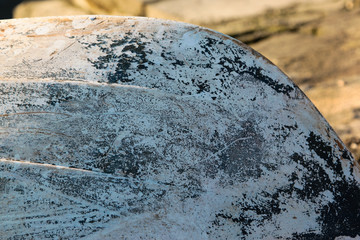 coque de barque retournée
