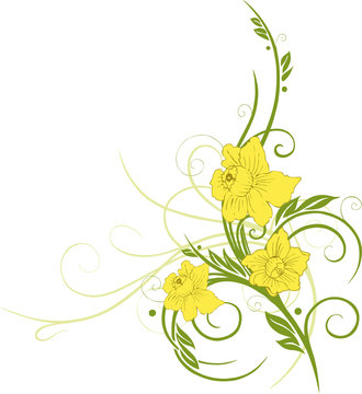 Ostern, Osterglocken, Narzissen, Blume, Blüte, floral