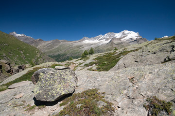 Gran Paradiso dal colle del Nivolet