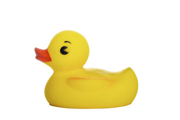 yellow rubber duck