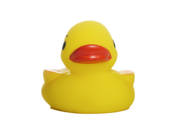 yellow rubber duck