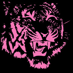 Head of the furious tiger on a black background