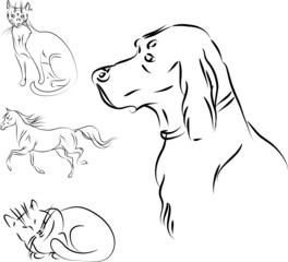 vector animals sketch