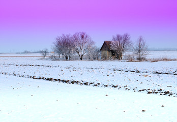 Obraz premium small house and a tree in winter