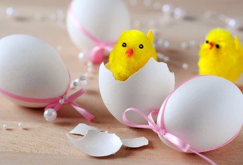 süße osterküken im ei