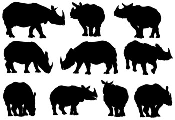 Rhino vector collection