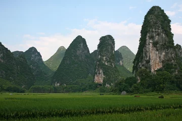 Foto op Plexiglas South of china,Guilin landscapes © xu xiaoning