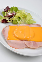 hawaii  toast with organic cheese on a plate