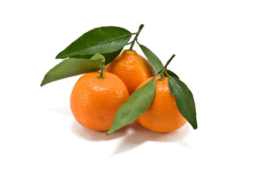 oranges