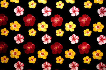Background witn multicolored flowers