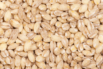 Pearl Barley background