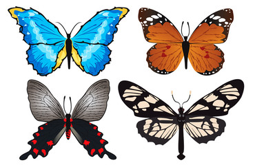 Butterflies