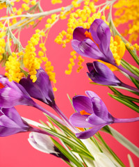Rich spring flowers background.