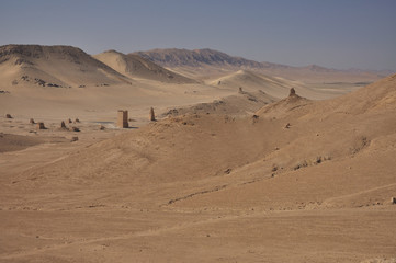 Fototapeta na wymiar Palmyra desert