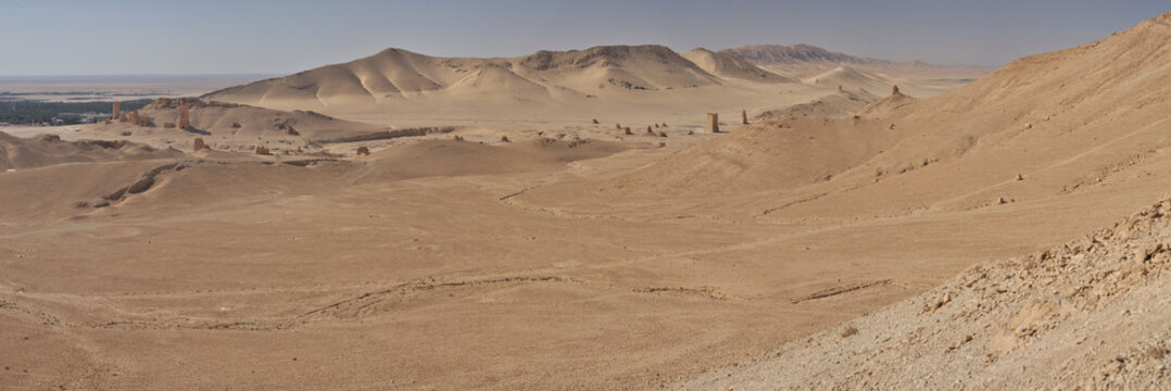 Palmyra desert