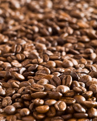 beans