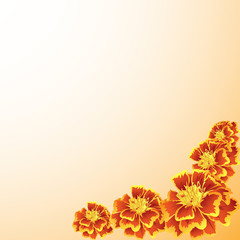 marigold  frame