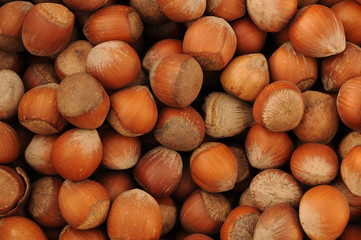 Hazelnut