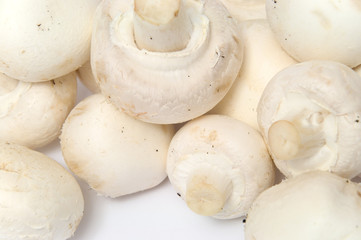 Champignons