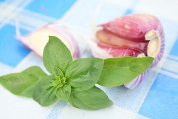 garlic and basil