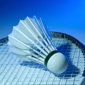 Badminton racket and shuttlecock on its strings.