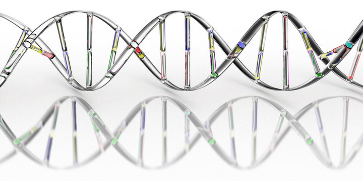 DNA