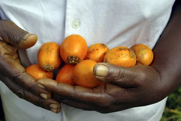 Stoff pro Meter Südamerika handful of fruits