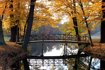Brücke im Park im Herbst
