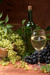 Obraz na płótnie Canvas White dry wine, fresh clusters of a grapes