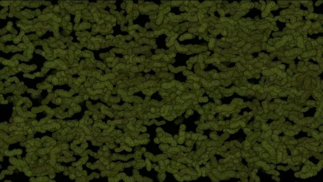 green worm creeps background