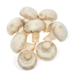 White mushrooms, champignon white background