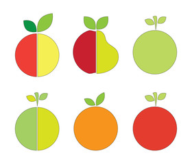 Vector illustration of fruits