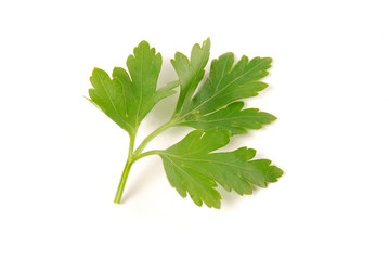 parsley