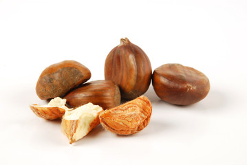 chestnut
