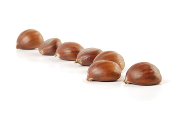 chestnut