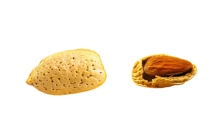 almond nut in shell, and craked open, isolated on white