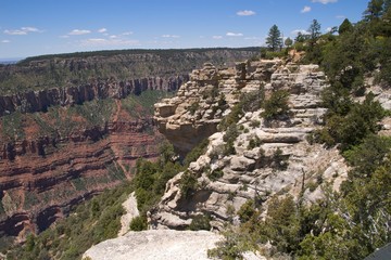 Viewpoint , Grand Canyon, North Rim, Bright Angel Area