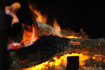 Firewood