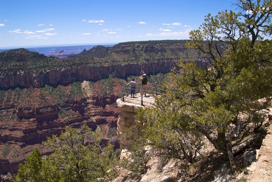 Looking out over Grand Canyon, North Rim, Bright Angel Area