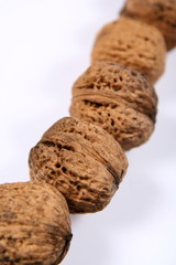 A row of walnuts on white background