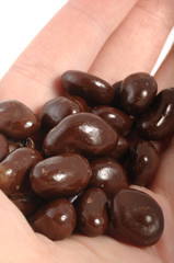 Raisins in Chocolate Cover