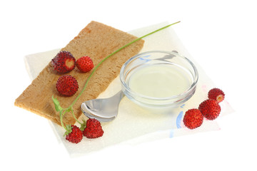 Crispbread and wild berries.