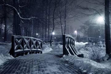 Photo sur Plexiglas Hiver Winter park at night.