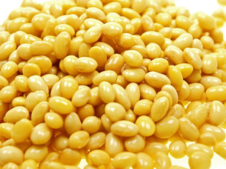 soybean