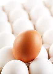 Brown egg whites of eggs.